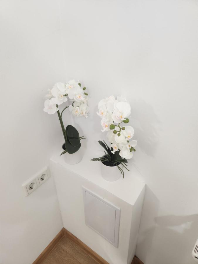 Apartman Zagreb Cca 42M2 With Free Parking Exteriör bild